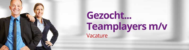 Vacature van der Lans & van der Leek | Accountants en Adviseurs